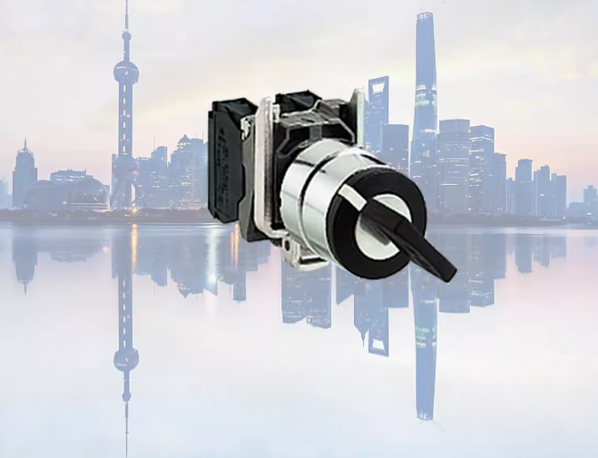 1PC NEW Schneider XB4BG61 Key switch .AA0