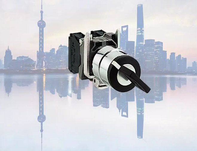 1PC NEW Schneider XB4BG61 Key switch