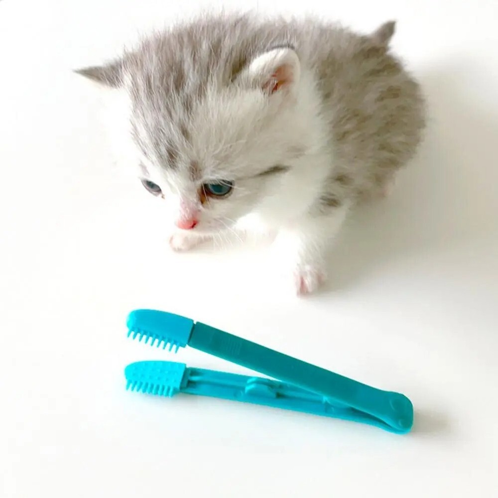 Eco-Friendly Kitten Eye Rub