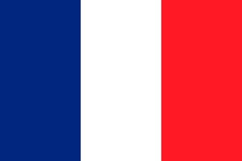 French 5 FT x 3 FT Large  Flag Olympic