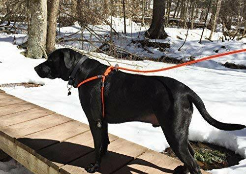 Harness Lead, Escape Resistant Leash, Reduces Pull, Dog Harness