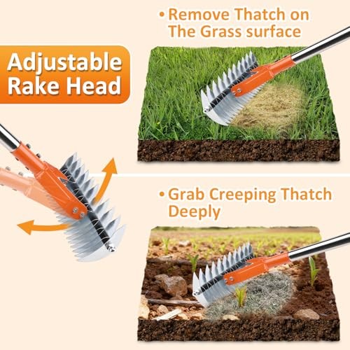Thatch Rake -15 Inch Dethatcher Rake with Adjustable Handle, Efficient Steel