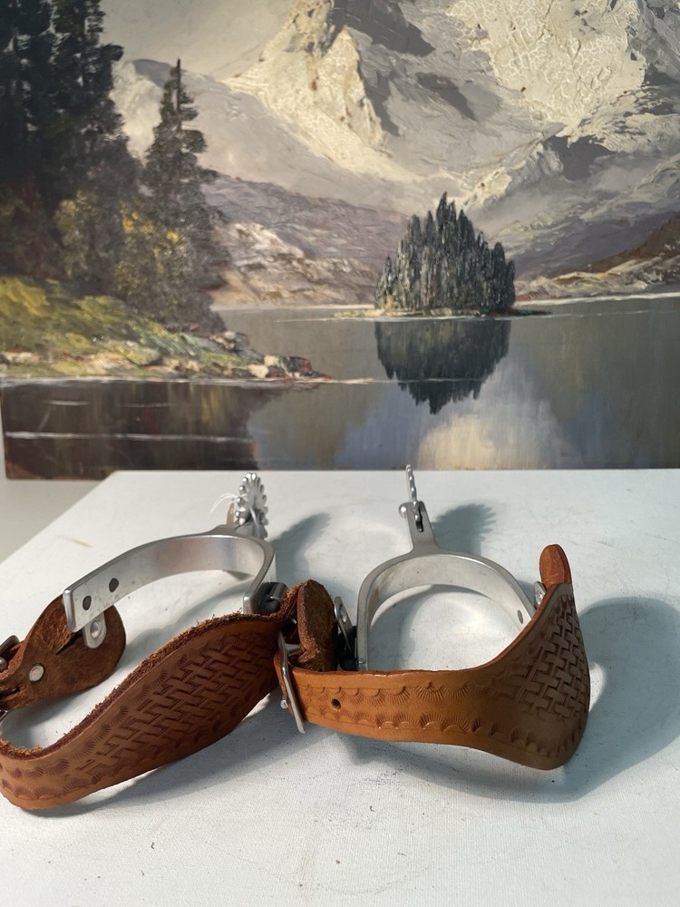 Beginning Roper's western spurs