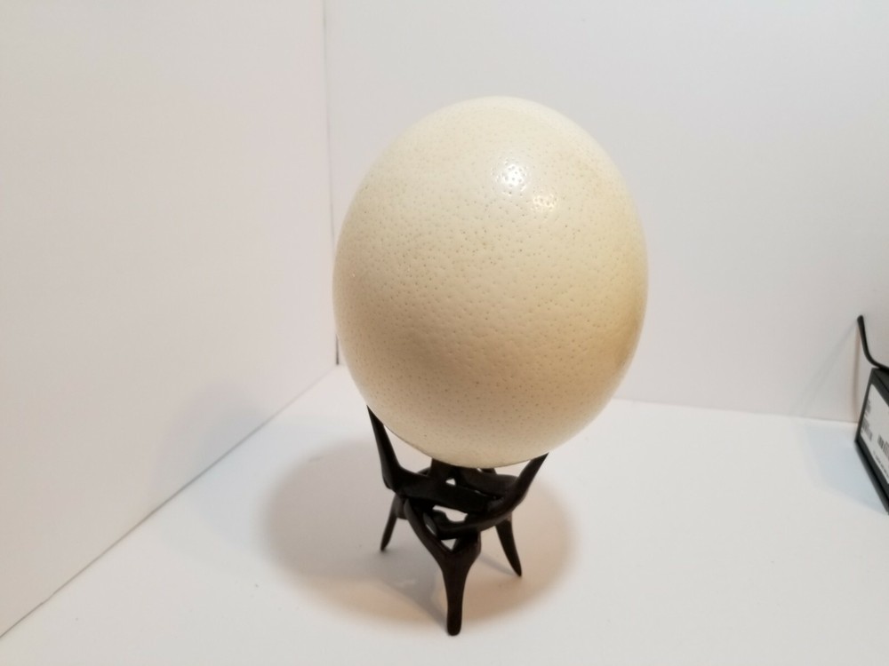 Domestic Ostrich Egg Stand Not Included