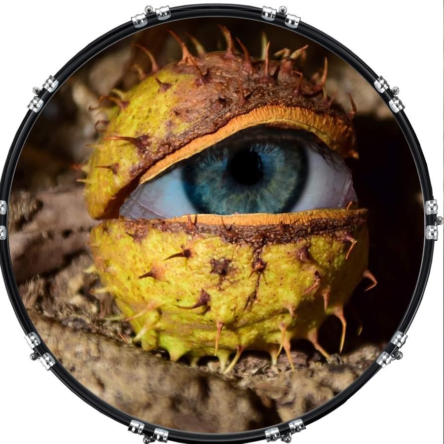 Custom 22" Kick Bass Drum Head Graphical Image Front Skin Eye Conker