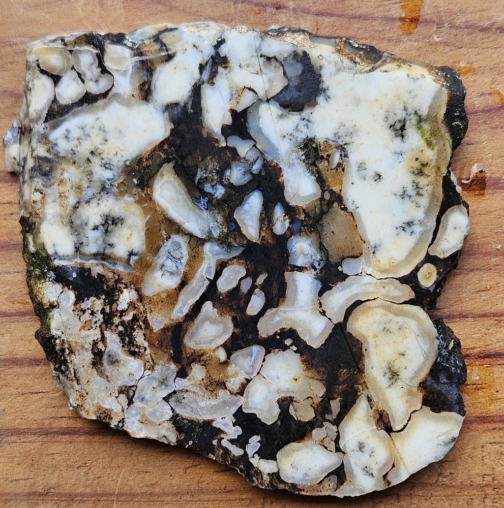Common Opal With Dendrites Lapidary Slab 64 Grams