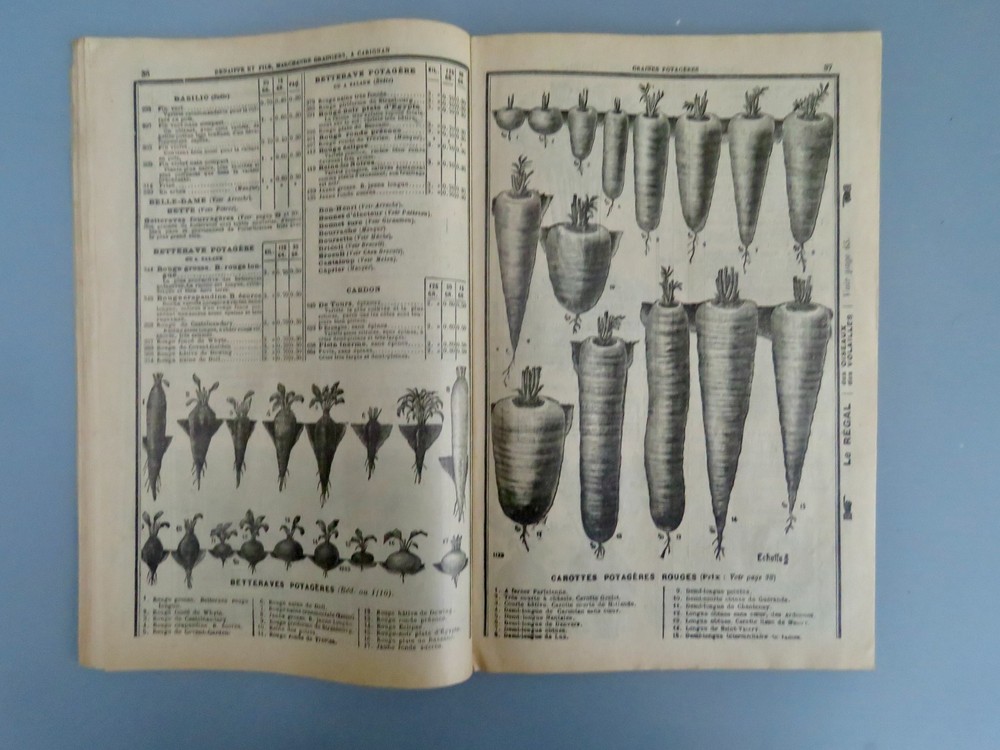 CATALOGUE 1910 SEEDS DENAIFFE, CARIGNAN, ARDENNES