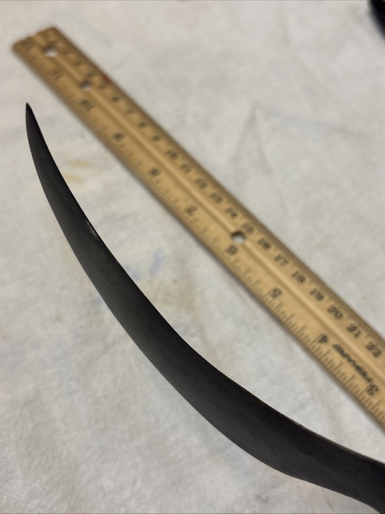 Vintage Mexico Knife Folding Saca Tripas Single Blade Horn Handle. Nice &Sharp