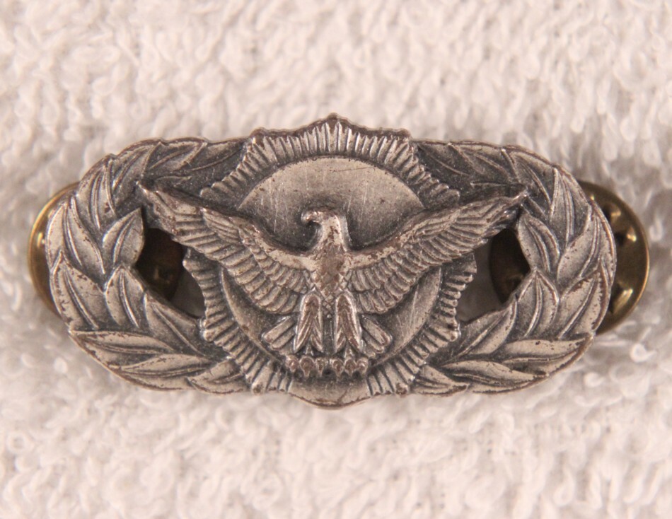 USAF Badge: Occupation - Security, Basic - 1/20 S.F.