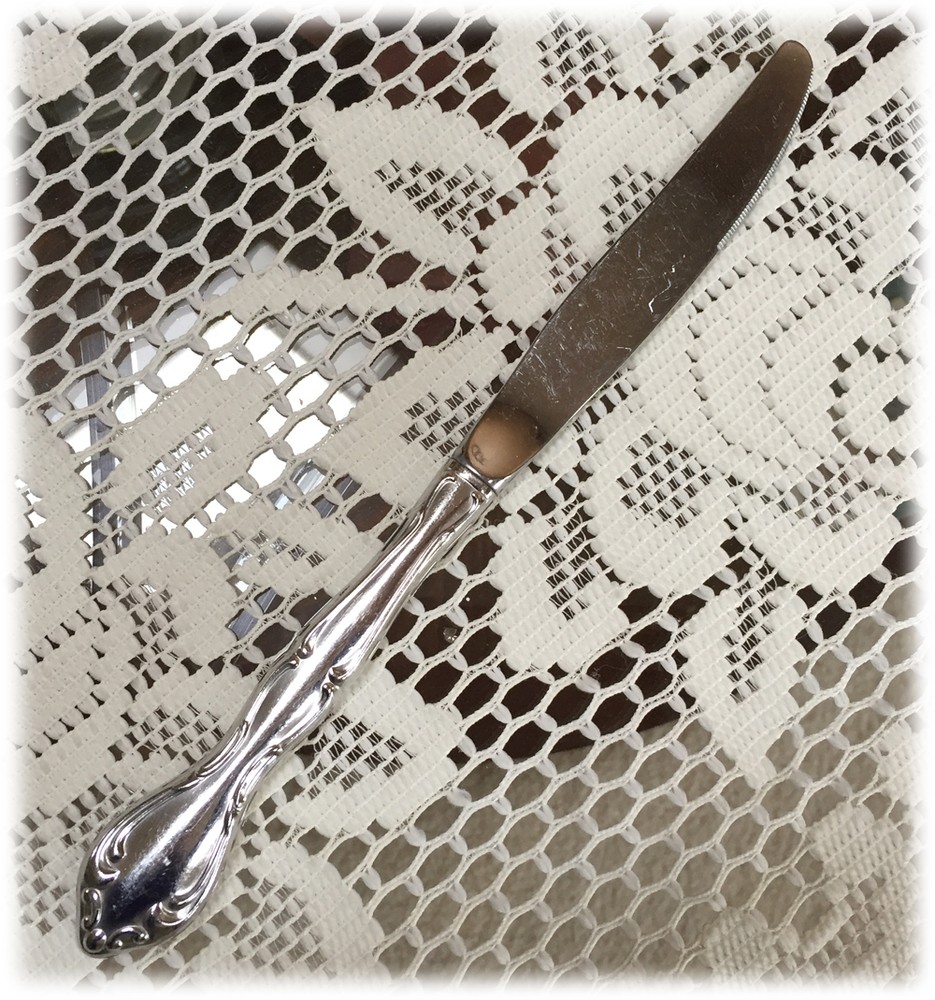 Oneida ANDRINA Stainless DINNER KNIFE