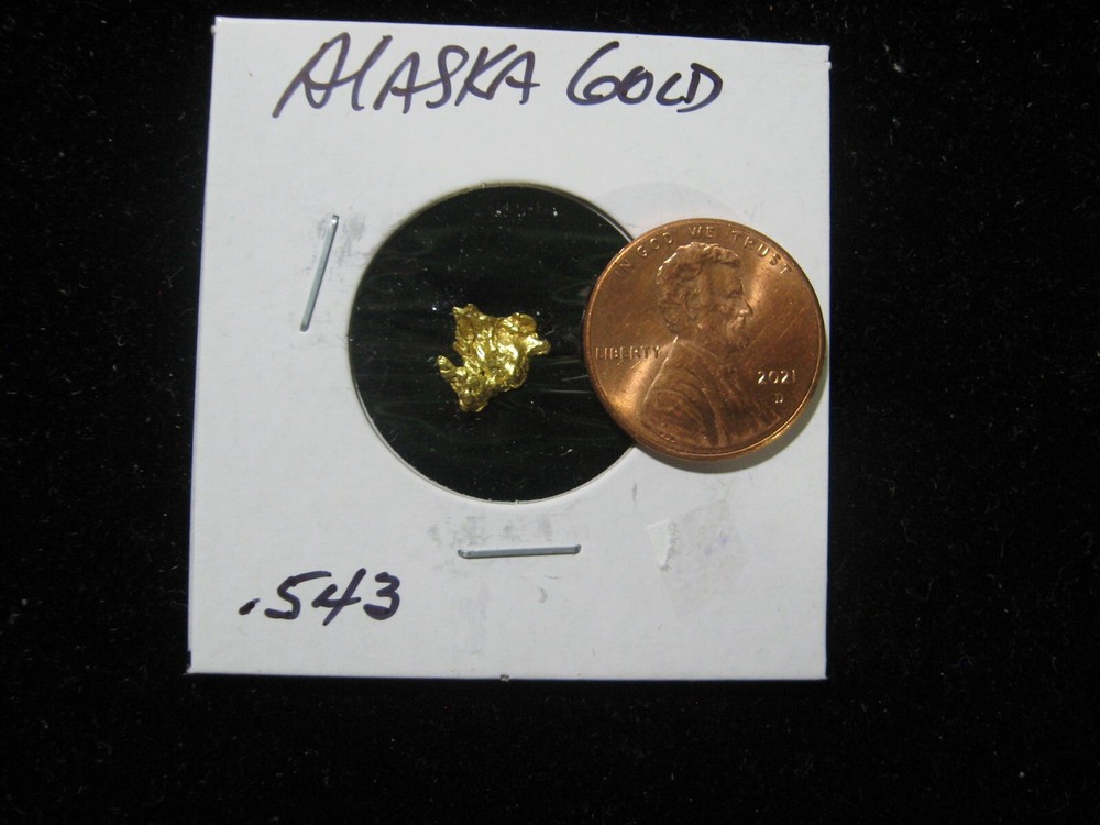 ALASKA GOLD NUGGET  .543 GRAM