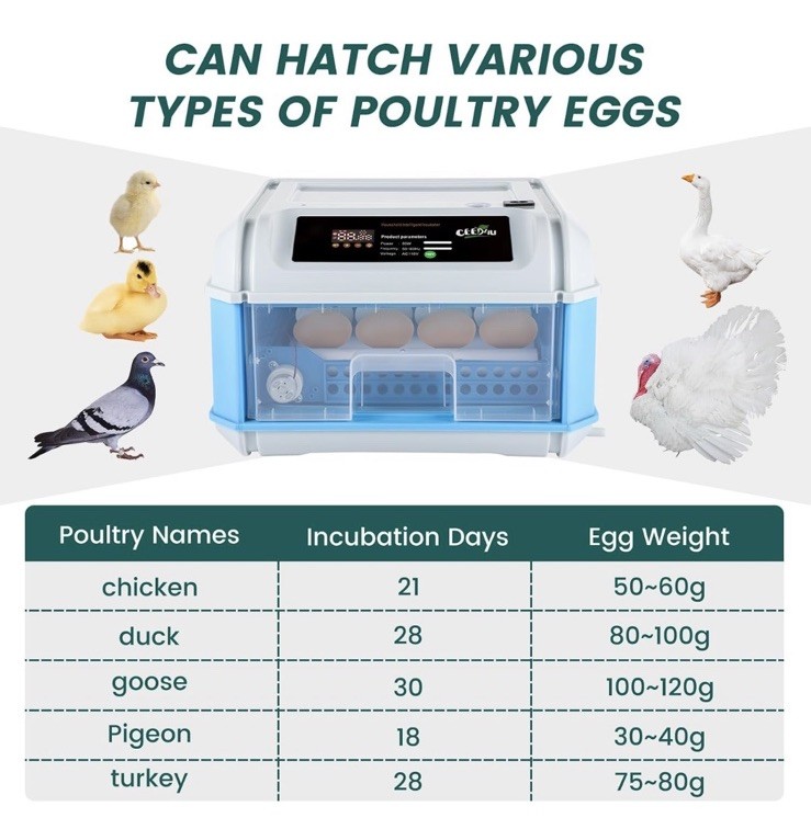 Ceed4u 16 Egg Incubator Auto Turning, Temp Control, Candling, For Hatching Eggs