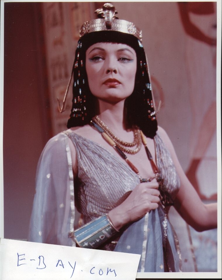 GENE TIERNEY   8X10 PHOTO B5066