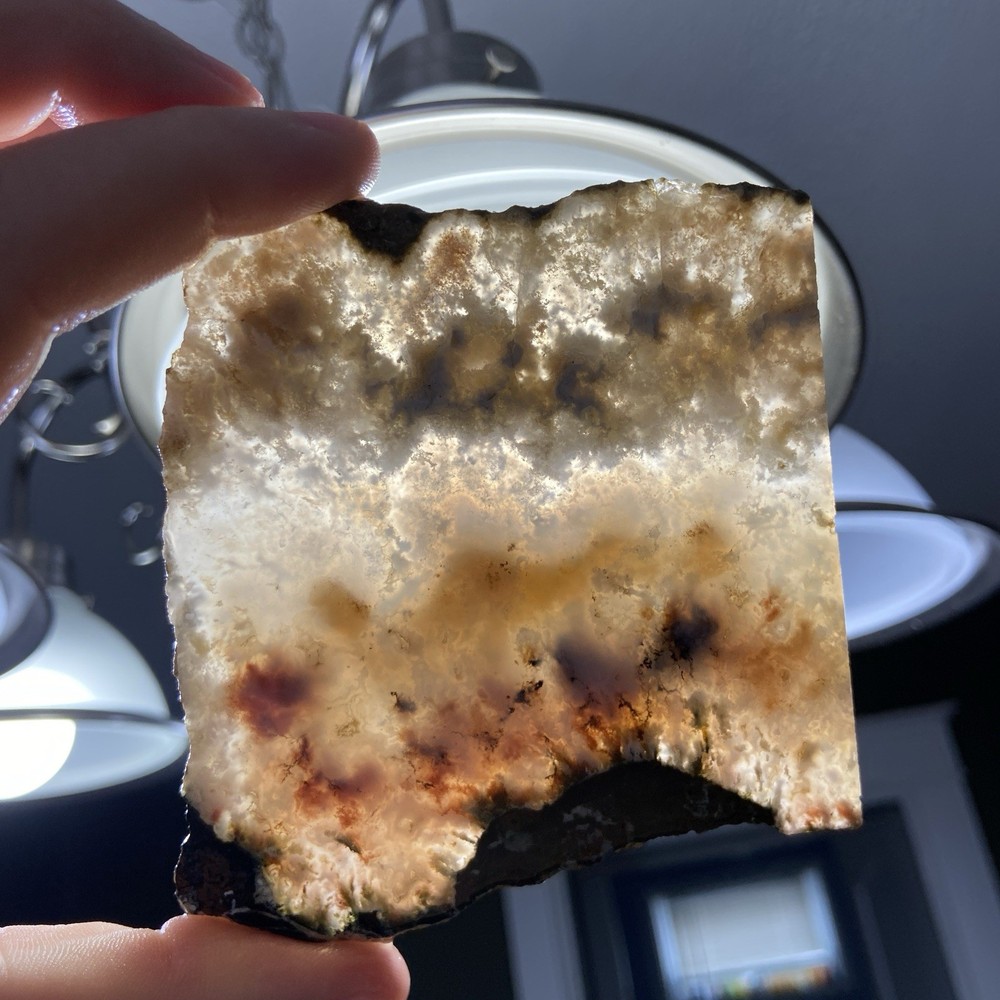 Stunning Graveyard Point Plume Agate Slab 3 Oz