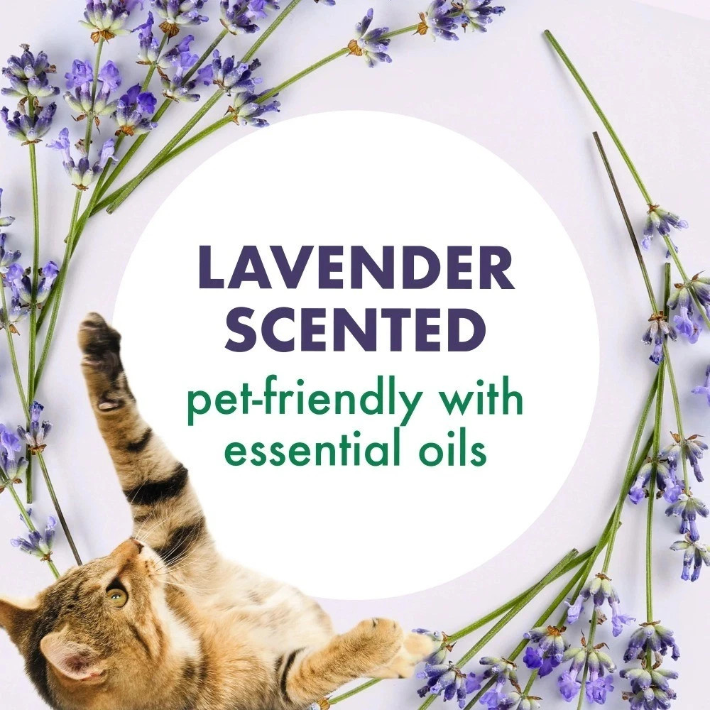 Forever Fresh Cat Litter Deodorizer, Pet-Friendly Lavender Scent, 33 oz