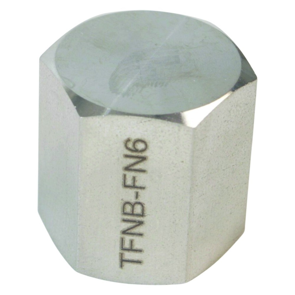 Threaded NPT Cap | FNPT 3/8 inch - SS316 (5 Pack)