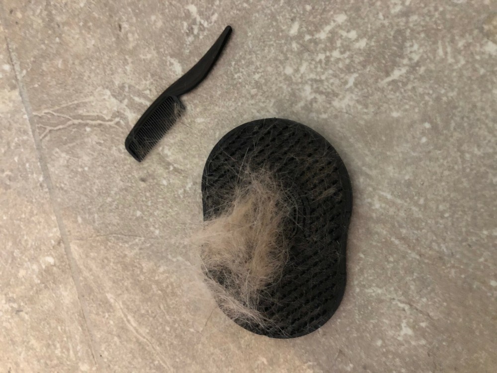 Pet Kitty-Cat Palm Brush and Massager