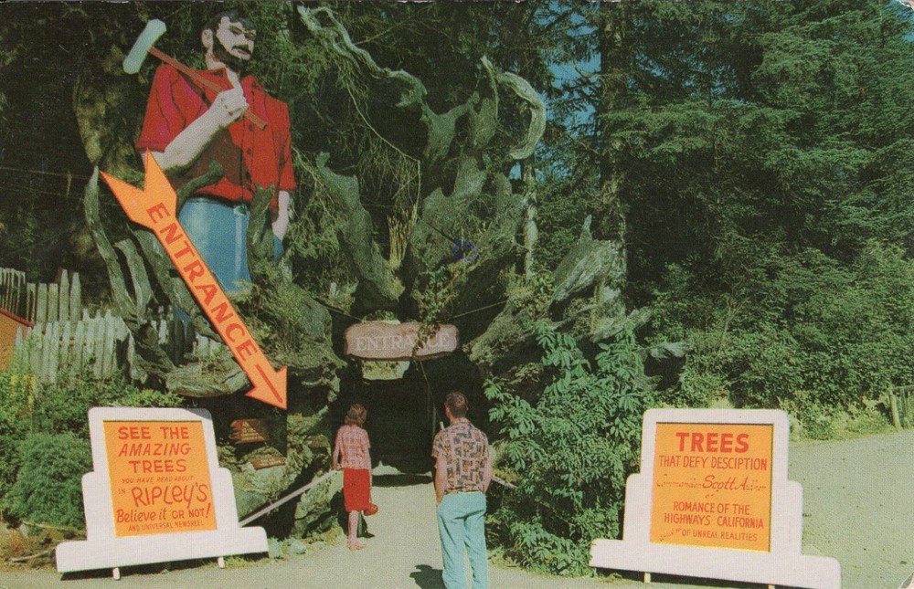 PAUL BUNYAN - PC1382