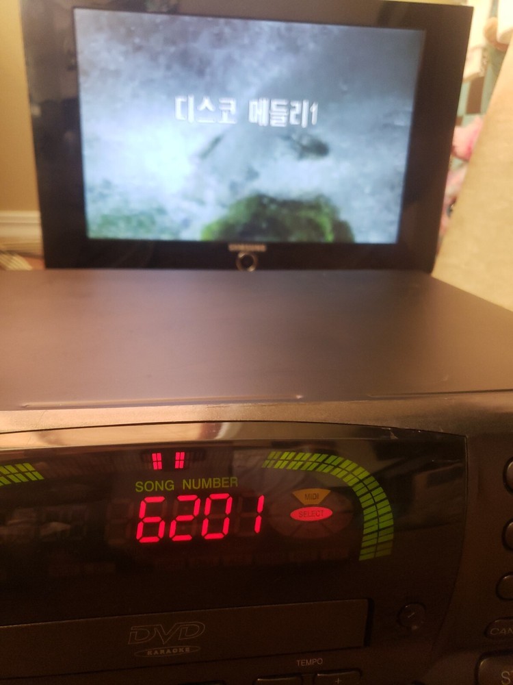 ChungLam ELF Multimedia Decoder DVD Karaoke Video CD SR-2002 Works Great!