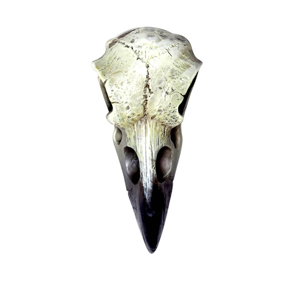 Alchemy Gothic Reliquary Raven Skull White