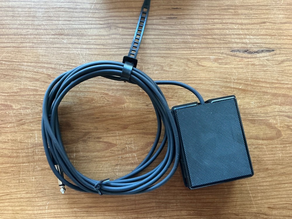 Roland DP-2 Pedal Switch