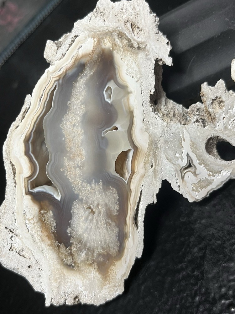 Huge Polished Agatized Coral Geode