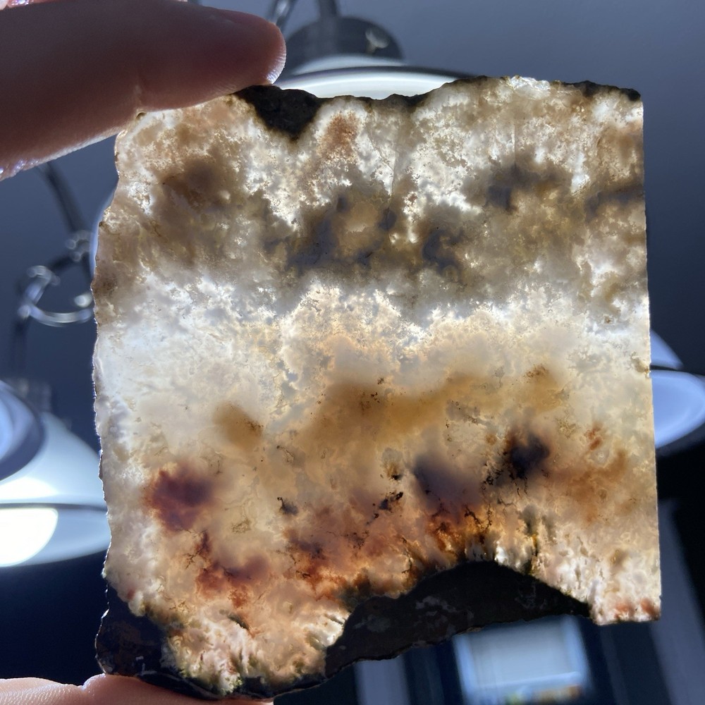 Stunning Graveyard Point Plume Agate Slab 3 Oz