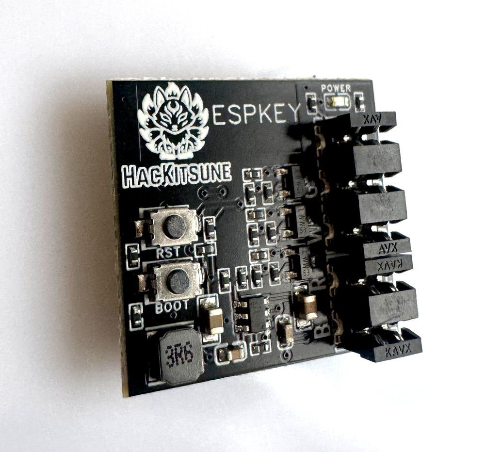 ESPKEY (with AVX Punchdown tool)