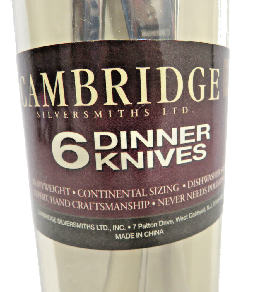 6 DINNER KNIVES CAMBRIDGE SILVERSMITHS STAINLESS STEEL FLATWARE AURORA PATTERN