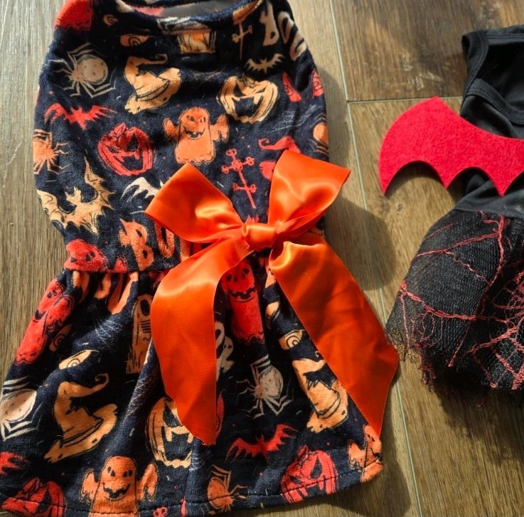 Cat Halloween Costume For pet