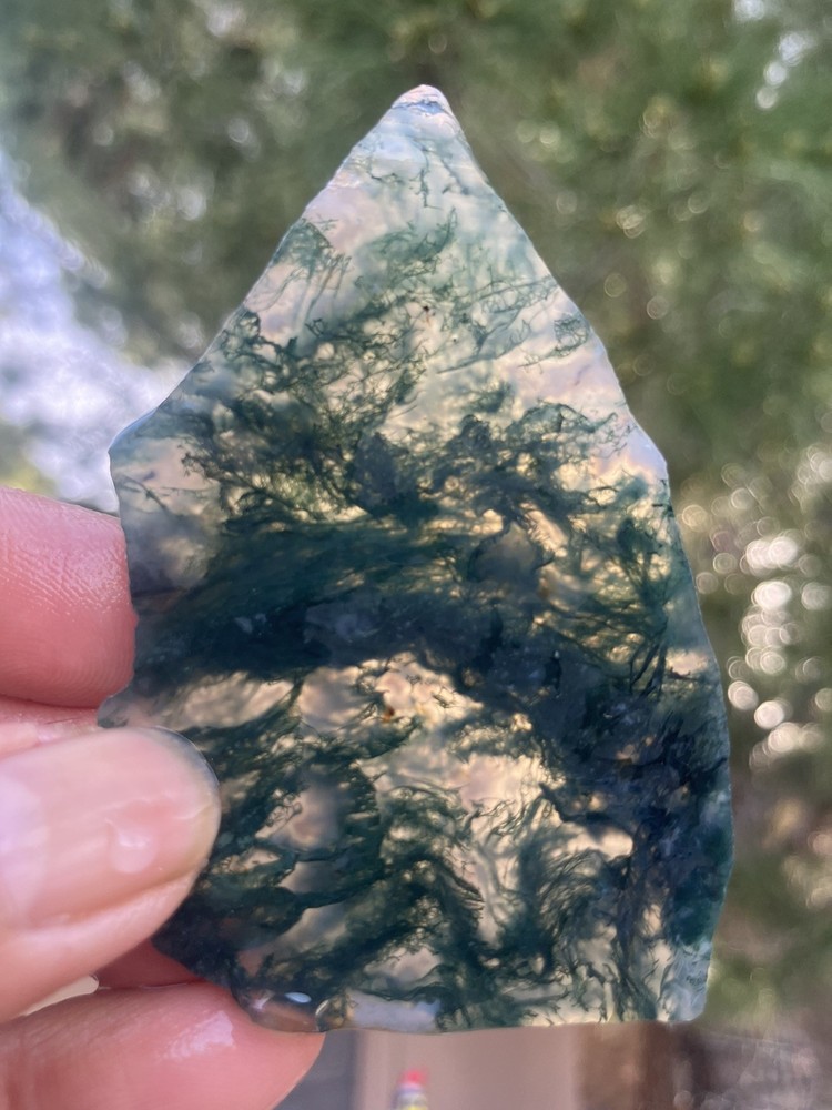 Indian Green Tree Moss Agate Slab