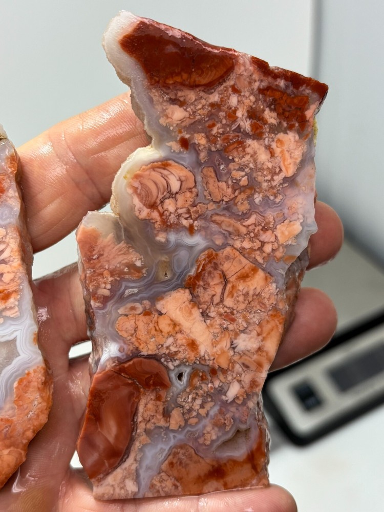 Cotton Candy Agate Slabs Cabbing Lapidary Collecting Combo Ship Avail