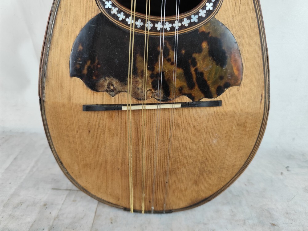 Mandolin 4/4 Ernesto De Cicco 1901 Naples 曼陀林 만돌린マンドリン