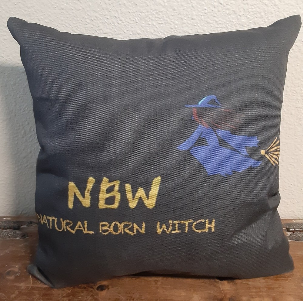 Haunted Witchcraft Magick Pillow