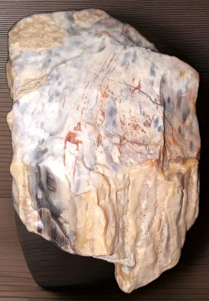 Opalized Petrified Wood Rough AZ 75g