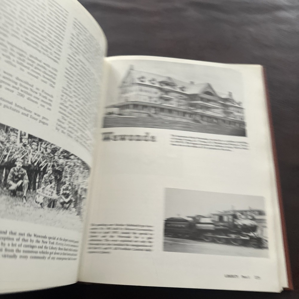 To the Mountains by Rail book