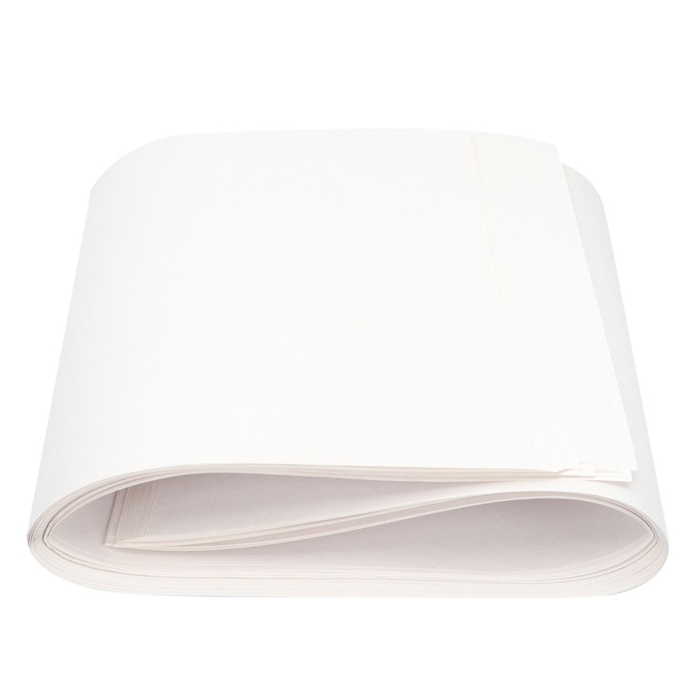 50pcs Soilless Cultivation Nursery Paper Germination Growing Vegetable Paper