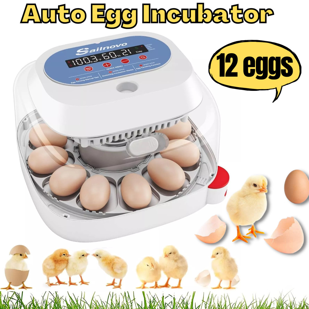 12 Egg Incubator for Hatching Eggs w/Automatic Egg Turner Temperature Display