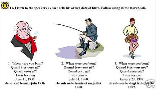 7 EUROPEAN Text + MP3 SPECIAL FORCES Language Courses on Data Disc