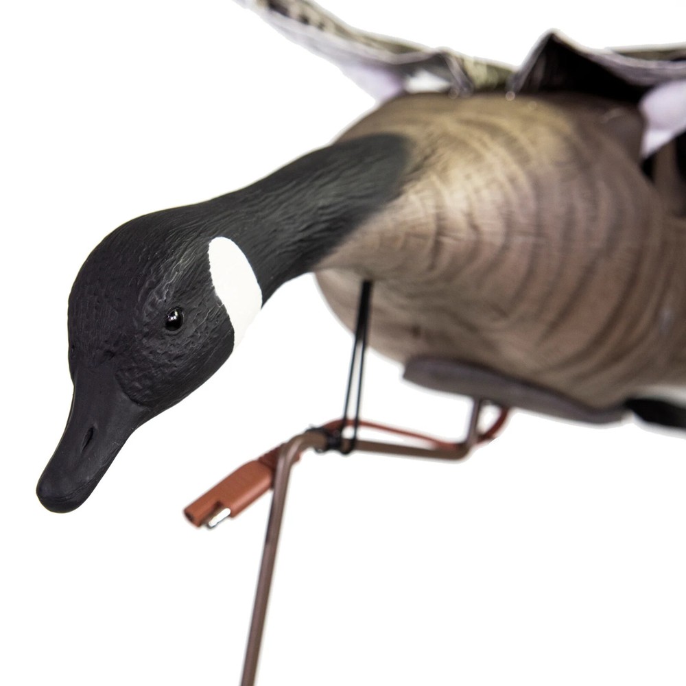 Higdon Clone Canada Goose Decoy