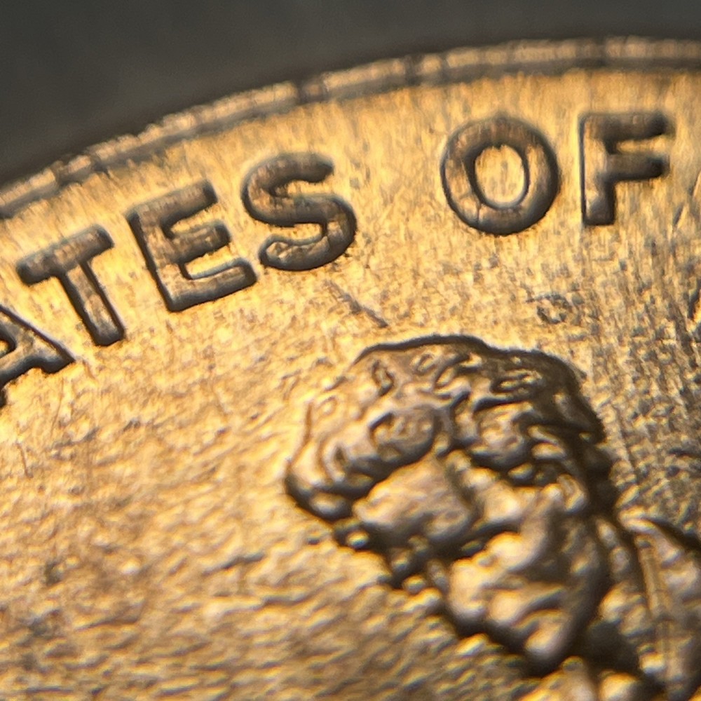 2009 D Lincoln Cent Formative Years MS quality