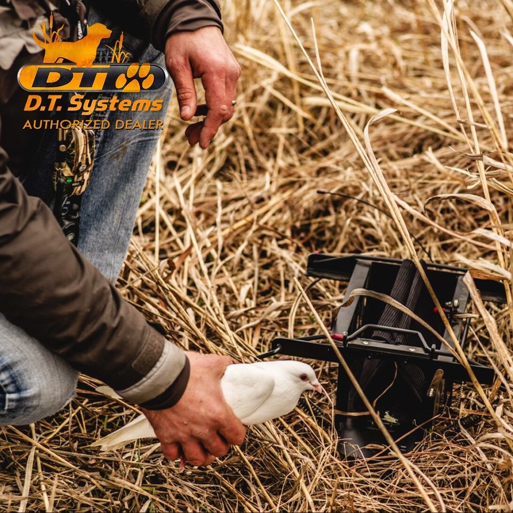 DT Systems BL 509 Small Bird Launcher System for Quail & Pigeon with Transmitter