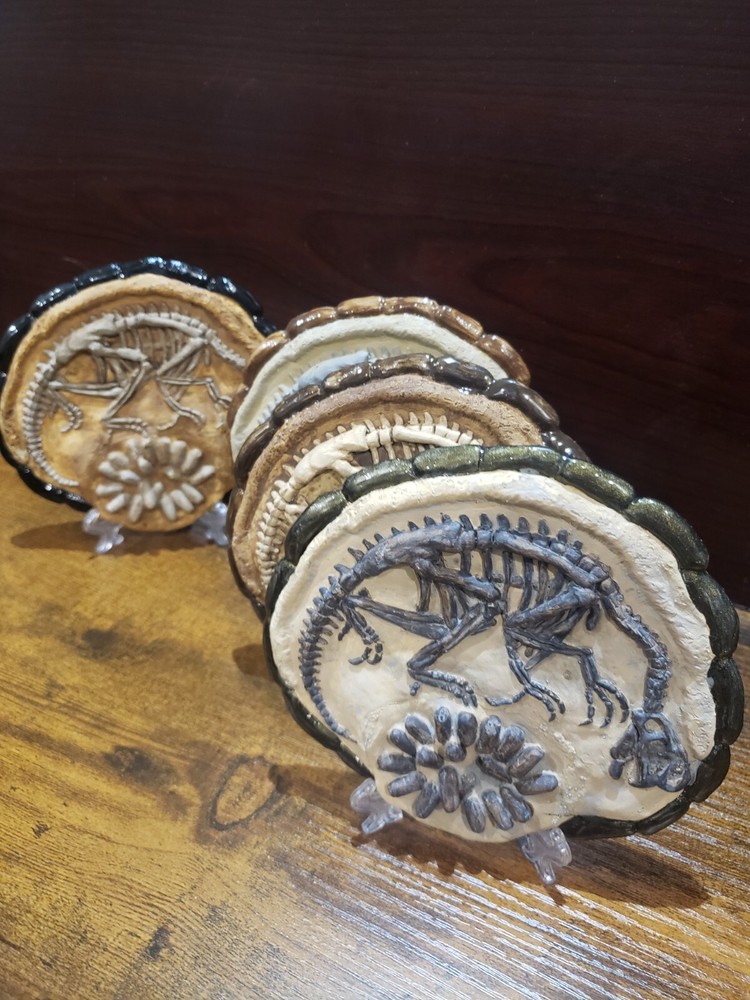 Oviraptor fossil, dinosaur, display (one)