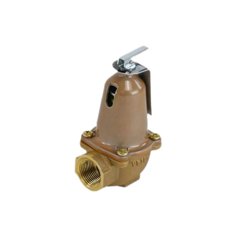 Bell & Gossett 110125