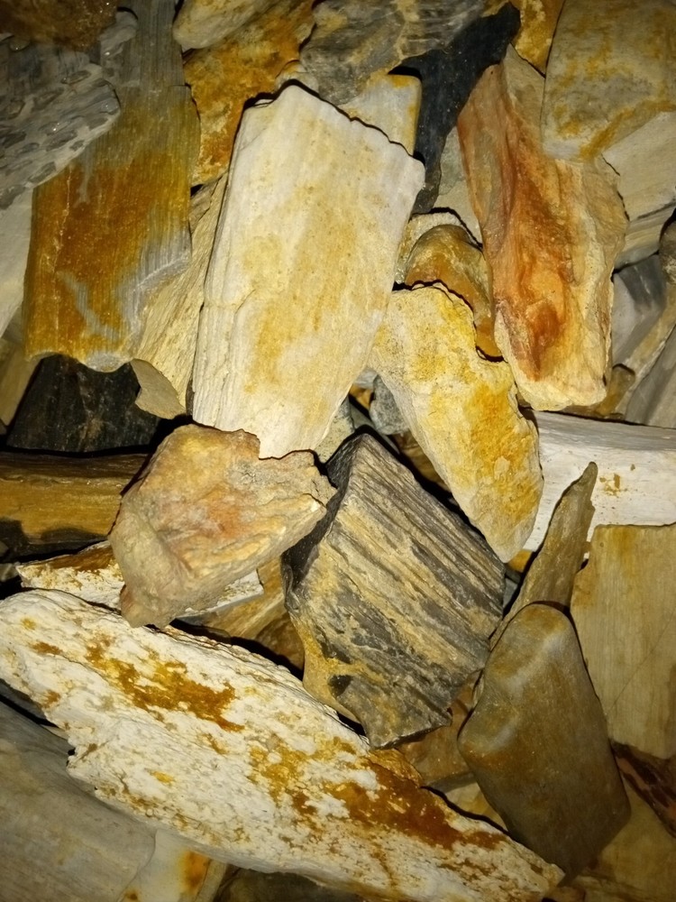 petrified wood pieces!