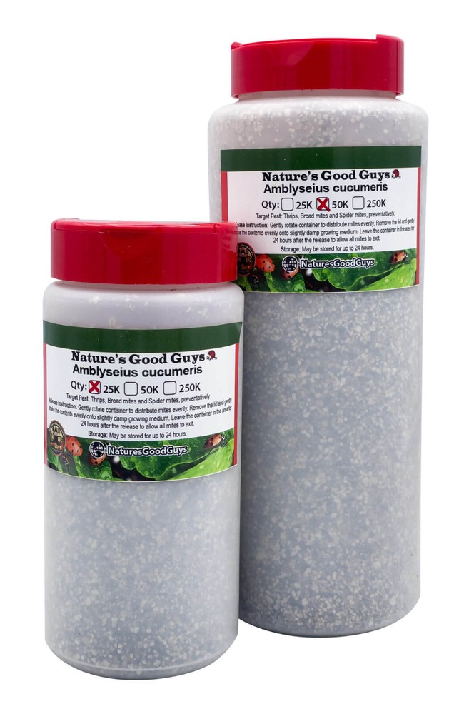 NaturesGoodGuys 250,000 Amblyseius Cucumeris Predatory Spider Mite Control