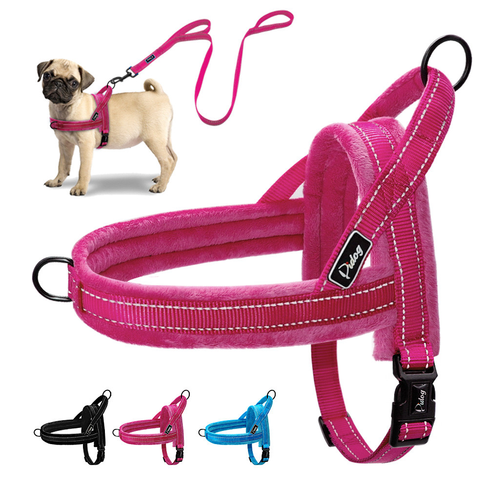 Reflective Dog Harness and Leash set Front Leading No Pull Vest Small Large Dog