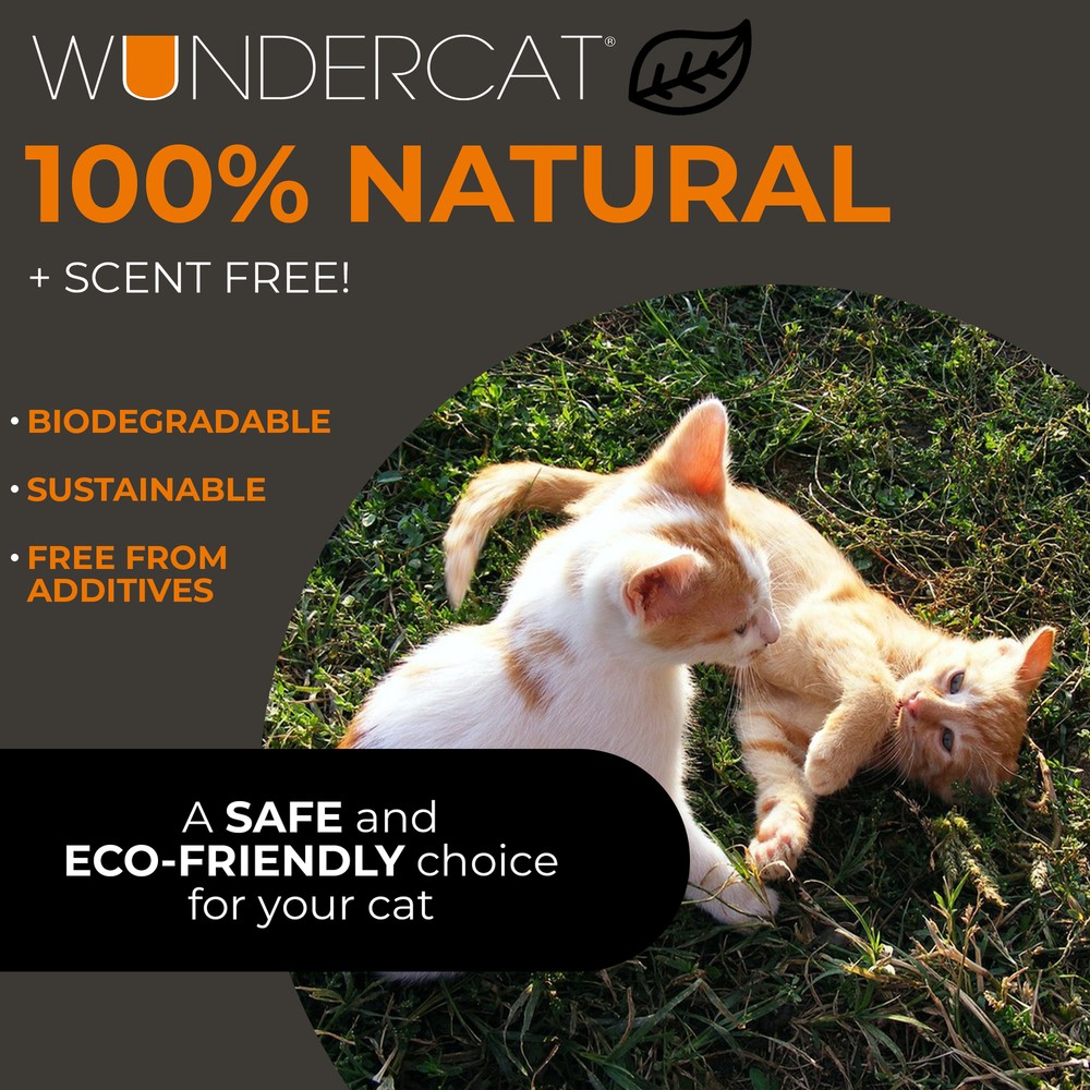 Progressive Planet Wundercat Non-Clumping Cat Litter, 40lbs