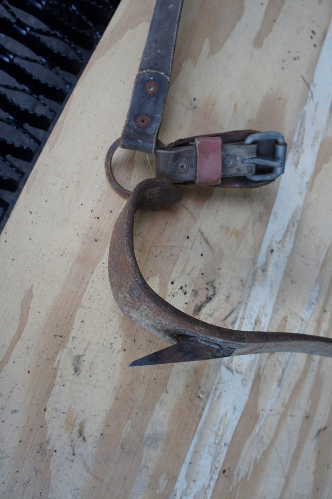Buckingham Tree and Pole Climbing Spikes Gaff Spurs Arborist