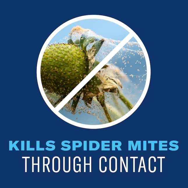 BIOADVANCED ORGANICS - TOMATO - VEGETABLE - FRUIT - INSECT CONTROL - KILLS FAST
